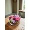 mini photo