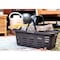 mini photo