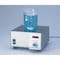 mini photo