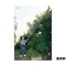 mini photo
