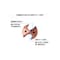 mini photo