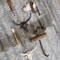 mini photo