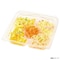 mini photo