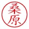 mini photo