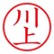 mini photo