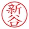 mini photo