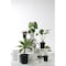 根はりポット