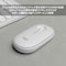PEBBLE MOUSE2