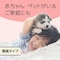 マモルーム 蚊に効く吊るだけプレート