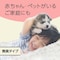 マモルーム 蚊に効く吊るだけプレート