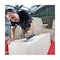 mini photo