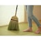 Daily Clean2 座敷箒