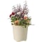 mini photo