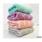 mini photo