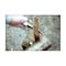 mini photo