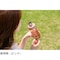 mini photo