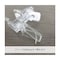 mini photo