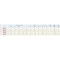 mini photo