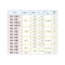 mini photo