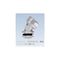 mini photo