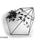 mini photo
