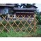 mini photo