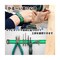 mini photo