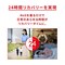 mini photo