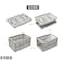 mini photo