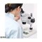 mini photo