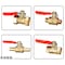 mini photo