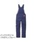 mini photo