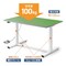 mini photo