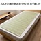 mini photo