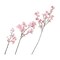 早春山桜(造花)