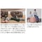 コビーズ ト字 高 480SH LB79WH