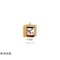 mini photo