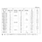 mini photo