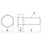 mini photo