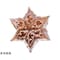 ENDOフルール/ローゼンキッフェリ型