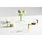 mini photo