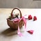 mini photo