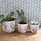 mini photo