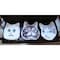 mini photo