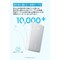 Zolo Power Bank