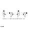 mini photo