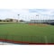 MBLPA公認 大谷翔平50−50記念T