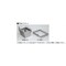 mini photo