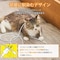 �y�b�g������ł��f�����ɂ����P�[�u��