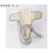 抗ウイルスαシリーズWG503α 片足(右)グレー